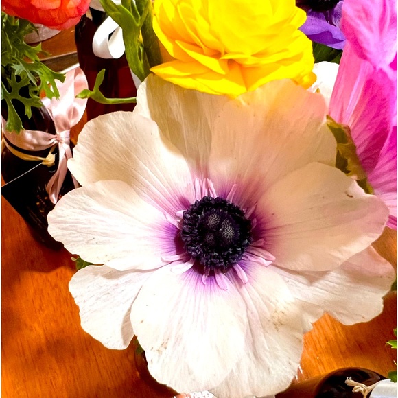 Meet your Posher, April - Picture 1 of 1